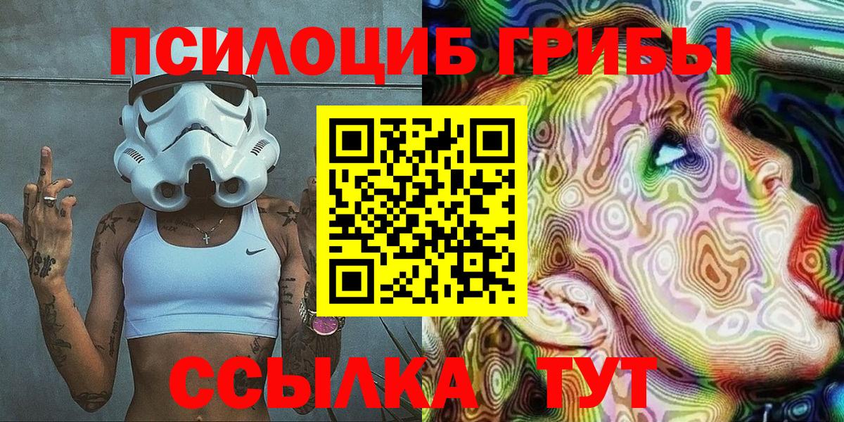 Галлюциногенные грибы Psilocybine cubensis Новодвинск