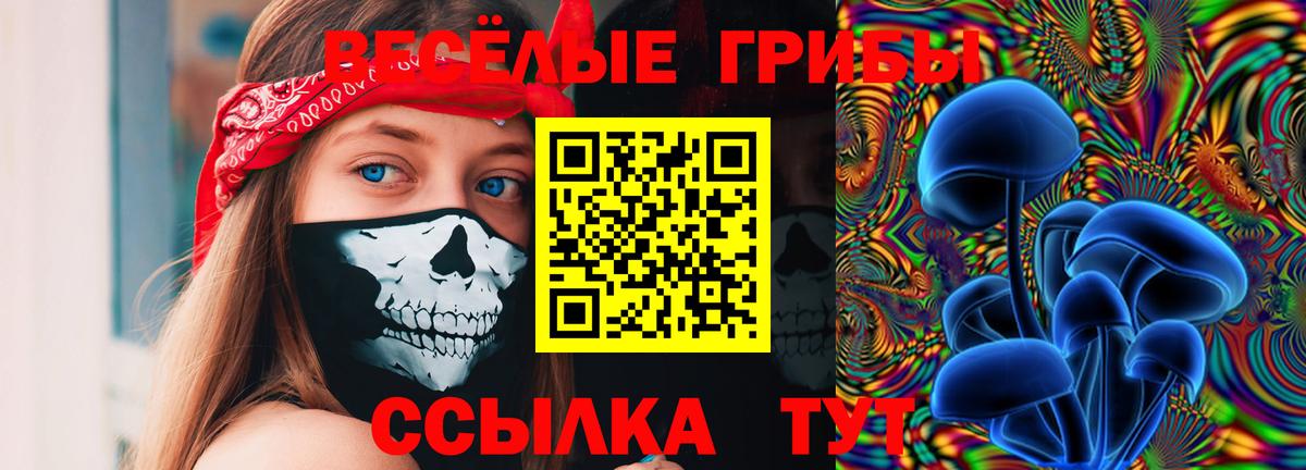 Галлюциногенные грибы GOLDEN TEACHER  Вход с VPN  Новодвинск 
